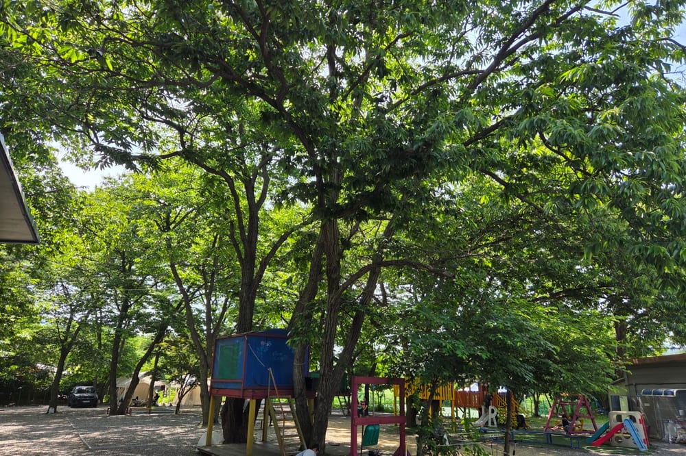 수동시온캠프 전경 3