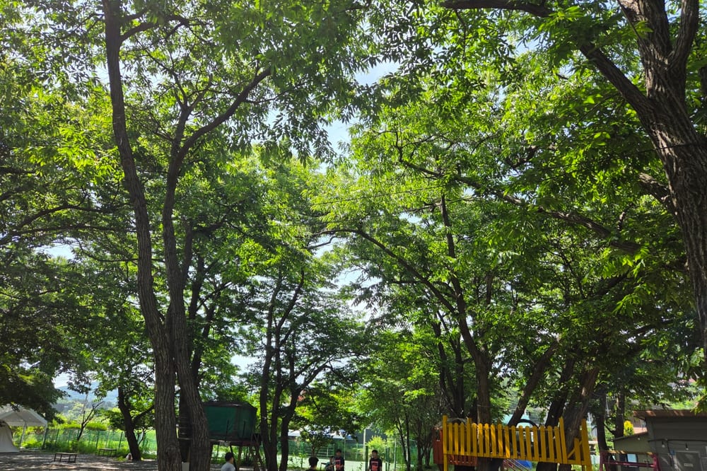 수동시온캠프 전경 5