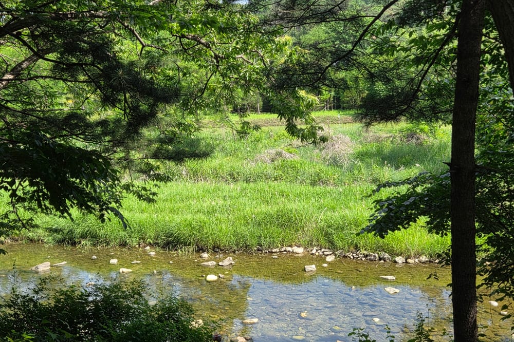 객실보기 배경