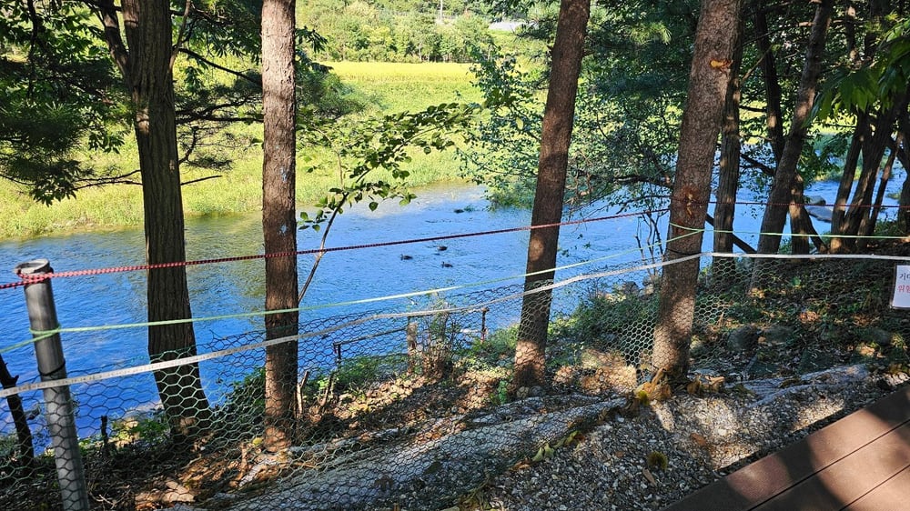 울타리 너머 수동천